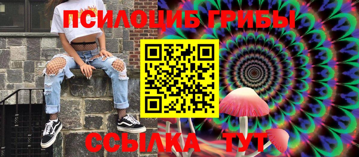 Псилоцибиновые грибы Cubensis  Вход с VPN  Воткинск 